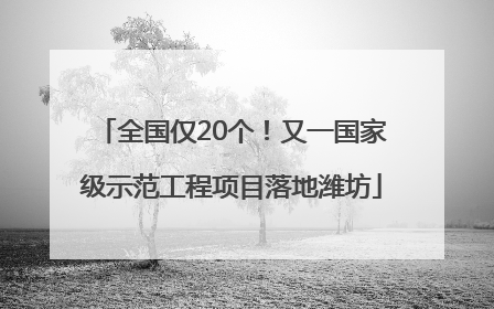 全国仅20个！又一国家级示范工程项目落地潍坊