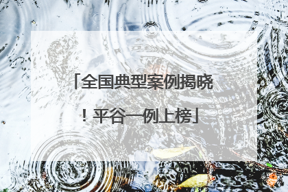 全国典型案例揭晓！平谷一例上榜