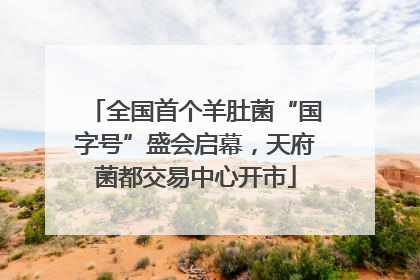 全国首个羊肚菌“国字号”盛会启幕，天府菌都交易中心开市
