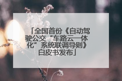 全国首份《自动驾驶公交“车路云一体化”系统联调导则》白皮书发布