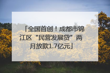 全国首创！成都市锦江区“民营发展贷”两月放款1.7亿元