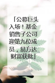 公募巨头入场！基金销售子公司迎第九位成员，易方达财富获批