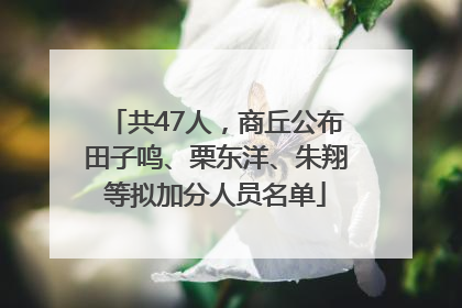 共47人，商丘公布田子鸣、栗东洋、朱翔等拟加分人员名单