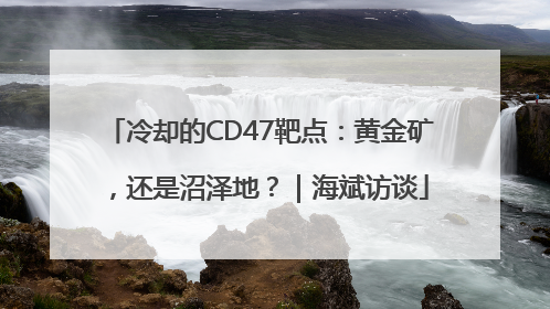 冷却的CD47靶点：黄金矿，还是沼泽地？｜海斌访谈