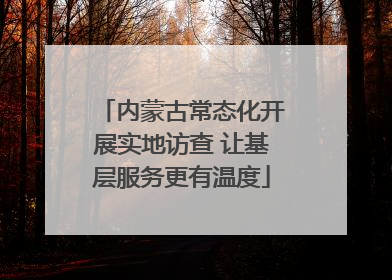 内蒙古常态化开展实地访查 让基层服务更有温度