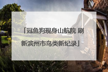 冠鱼狗现身山航院 刷新滨州市鸟类新纪录