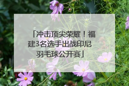 冲击顶尖荣耀！福建3名选手出战印尼羽毛球公开赛