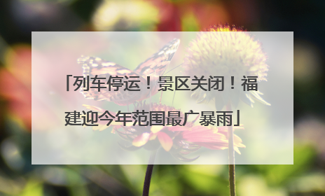 列车停运！景区关闭！福建迎今年范围最广暴雨