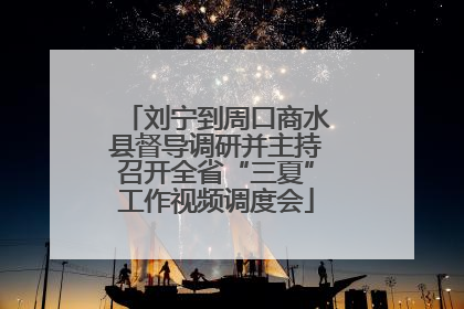 刘宁到周口商水县督导调研并主持召开全省“三夏”工作视频调度会