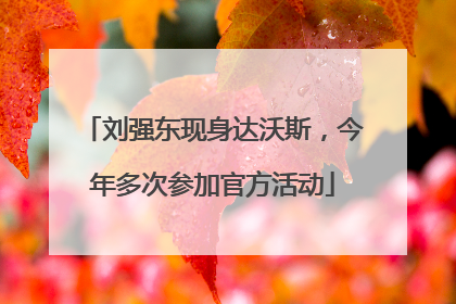 刘强东现身达沃斯，今年多次参加官方活动
