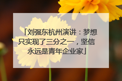 刘强东杭州演讲：梦想只实现了三分之一，坚信永远是青年企业家