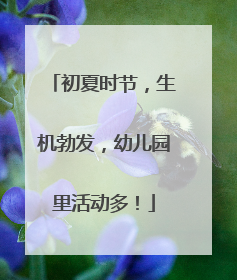 初夏时节，生机勃发，幼儿园里活动多！