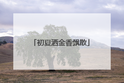 初夏洒金香飘散