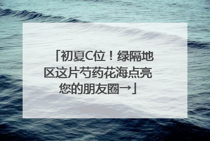 初夏C位！绿隔地区这片芍药花海点亮您的朋友圈→