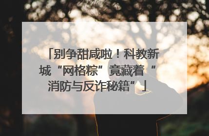 别争甜咸啦！科教新城“网格粽”竟藏着“消防与反诈秘籍”