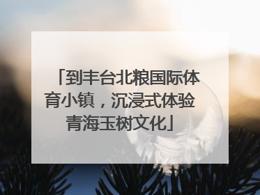 到丰台北粮国际体育小镇，沉浸式体验青海玉树文化