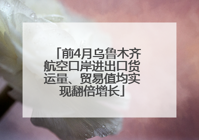 前4月乌鲁木齐航空口岸进出口货运量、贸易值均实现翻倍增长