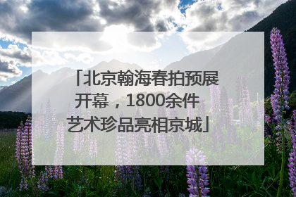 北京翰海春拍预展开幕，1800余件艺术珍品亮相京城