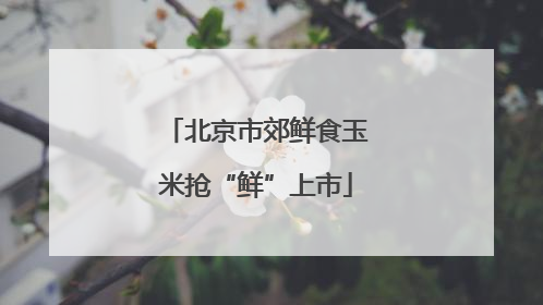 北京市郊鲜食玉米抢“鲜”上市