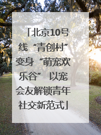 北京10号线“青创村”变身“萌宠欢乐谷” 以宠会友解锁青年社交新范式