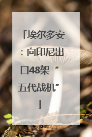 埃尔多安：向印尼出口48架“五代战机”