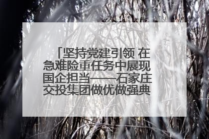 坚持党建引领 在急难险重任务中展现国企担当——石家庄交投集团做优做强典型报道之一