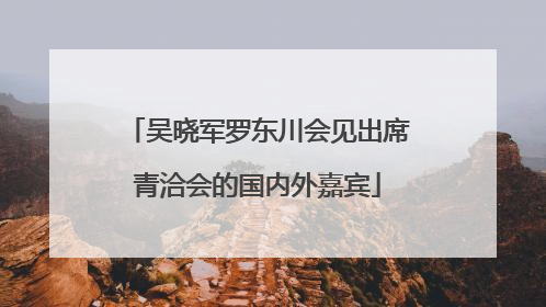 吴晓军罗东川会见出席青洽会的国内外嘉宾