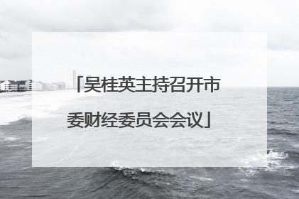 吴桂英主持召开市委财经委员会会议