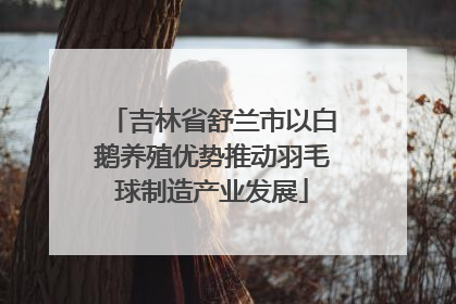吉林省舒兰市以白鹅养殖优势推动羽毛球制造产业发展