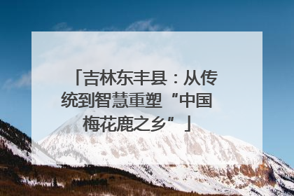 吉林东丰县：从传统到智慧重塑“中国梅花鹿之乡”