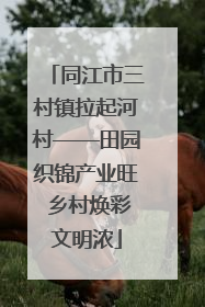 同江市三村镇拉起河村——田园织锦产业旺 乡村焕彩文明浓
