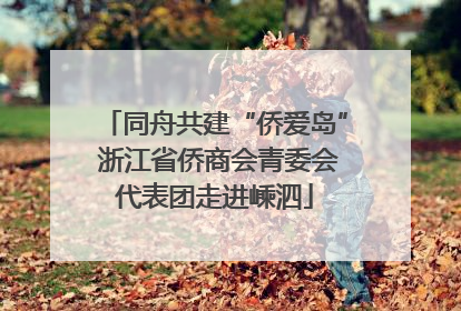 同舟共建“侨爱岛” 浙江省侨商会青委会代表团走进嵊泗