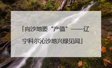 向沙地要“产值”——辽宁科尔沁沙地兴绿见闻