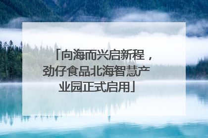 向海而兴启新程，劲仔食品北海智慧产业园正式启用