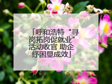 呼和浩特“寻岗拓岗促就业”活动收官 助企纾困显成效