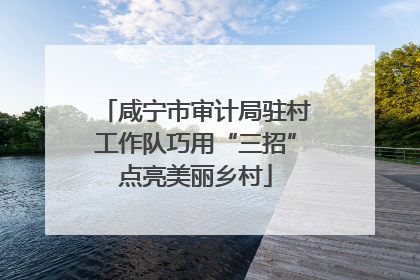 咸宁市审计局驻村工作队巧用“三招”点亮美丽乡村