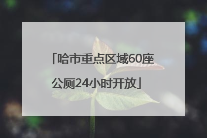 哈市重点区域60座公厕24小时开放