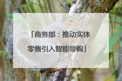 商务部：推动实体零售引入智能导购