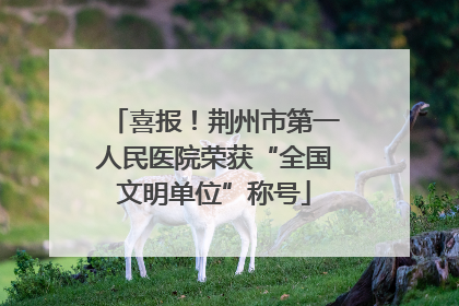 喜报！荆州市第一人民医院荣获“全国文明单位”称号