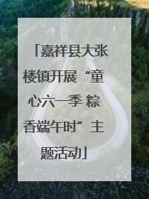 嘉祥县大张楼镇开展“童心六一季 粽香端午时”主题活动