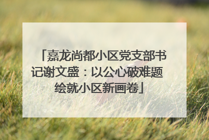 嘉龙尚都小区党支部书记谢文盛：以公心破难题 绘就小区新画卷