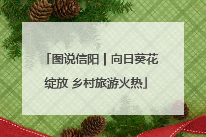 图说信阳｜向日葵花绽放 乡村旅游火热