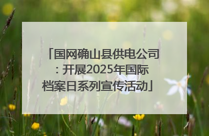 国网确山县供电公司：开展2025年国际档案日系列宣传活动