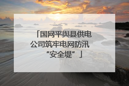 国网平舆县供电公司筑牢电网防汛“安全堤”