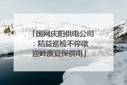 国网庆阳供电公司：精益巡检不停歇 迎峰度夏保供电