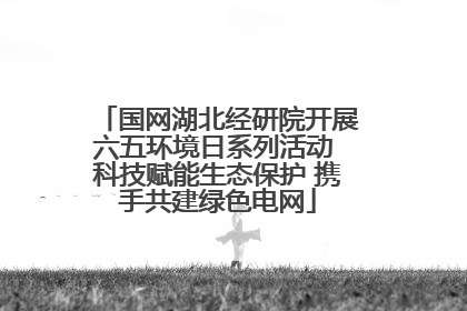 国网湖北经研院开展六五环境日系列活动 科技赋能生态保护 携手共建绿色电网