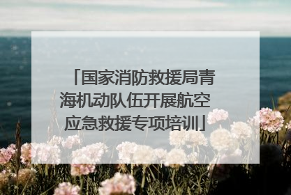 国家消防救援局青海机动队伍开展航空应急救援专项培训