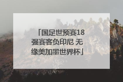 国足世预赛18强赛客负印尼 无缘美加墨世界杯
