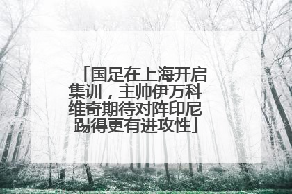 国足在上海开启集训，主帅伊万科维奇期待对阵印尼踢得更有进攻性