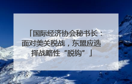 国际经济协会秘书长：面对美关税战，东盟应选择战略性“脱钩”